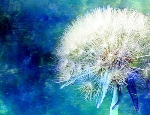 New Jersey Women’s Conference Talk: Re-Powering Empowerment